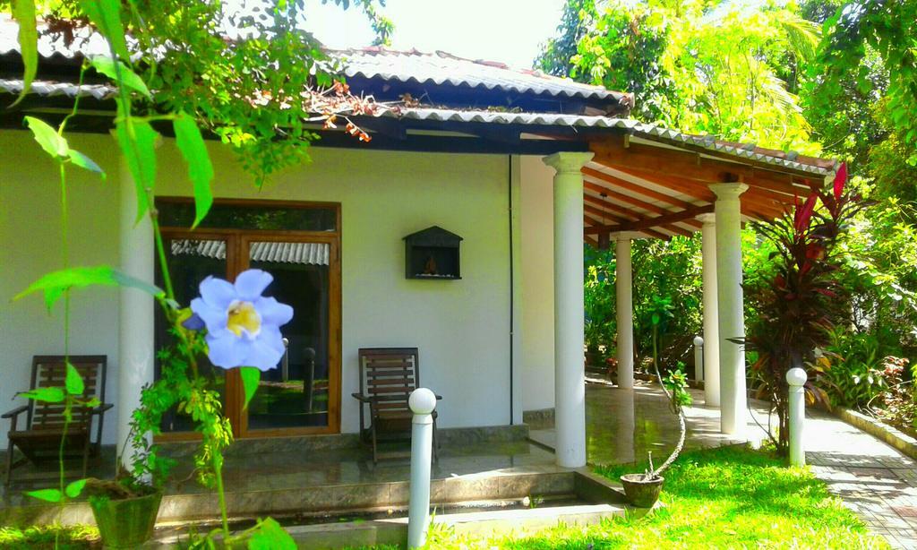 River Retreat Sigiriya Hotel Eksteriør billede