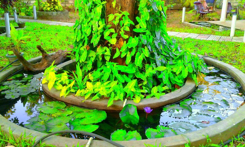 River Retreat Sigiriya Hotel Eksteriør billede